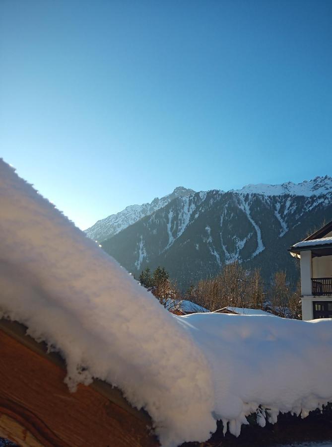 Le Jardin De Talefre Chalé Chamonix